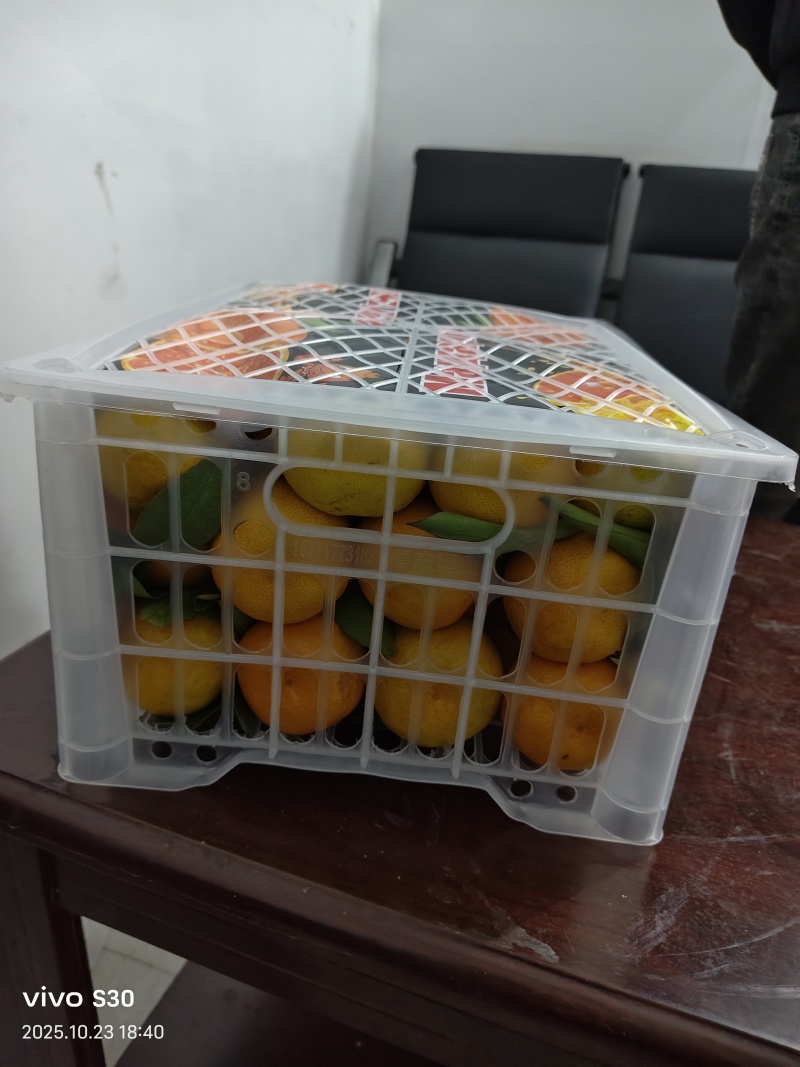 《万人合作商》蜜橘是大众喜爱的水果之一，产地供货一手货源