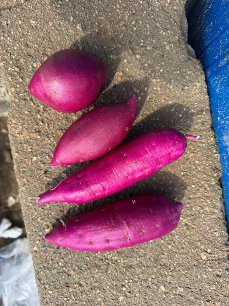 花叶二代水洗货