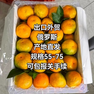 湖北高山蜜橘电商市场出口货量大从优质量保证