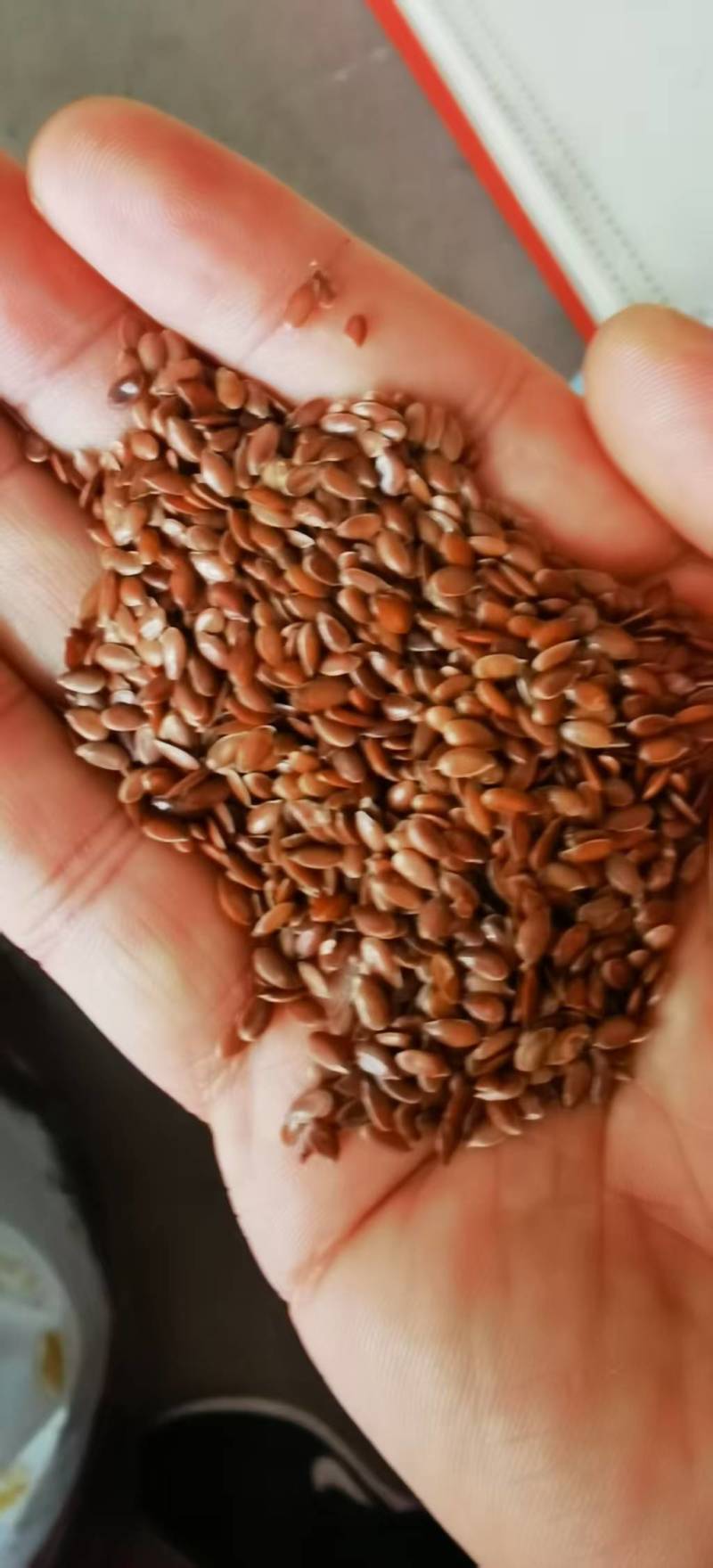 亚麻籽黄金、棕色进口亚麻籽颗粒饱满出油率高