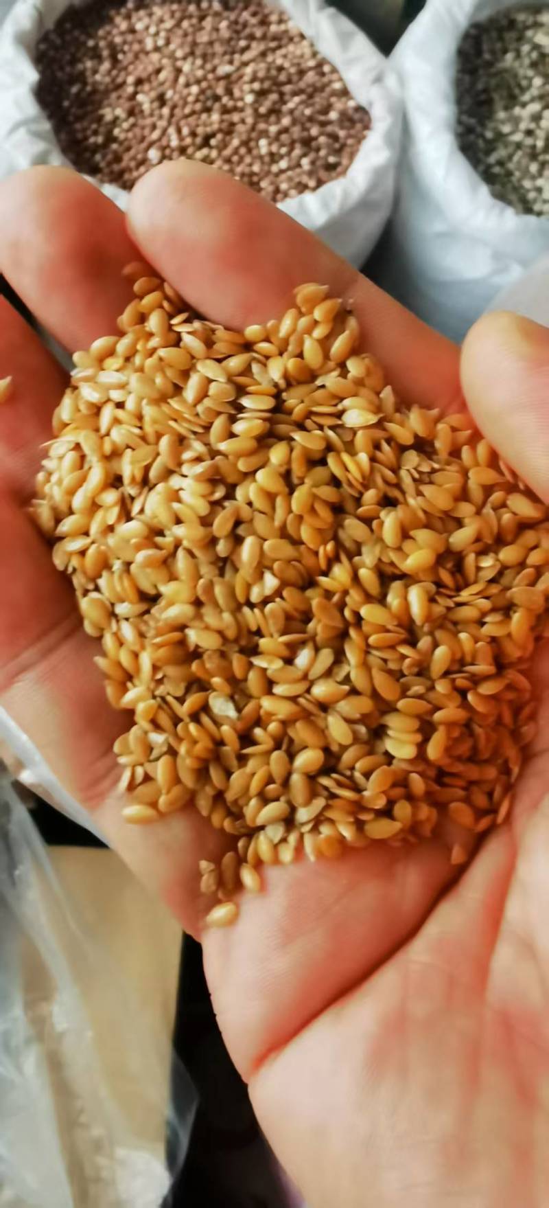 亚麻籽黄金、棕色进口亚麻籽颗粒饱满出油率高