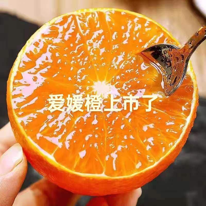 眉山爱媛果冻橙