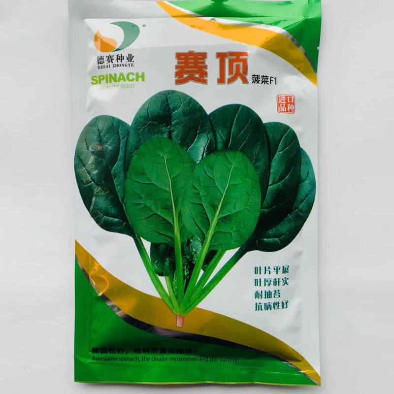 丹麦进口黑叶菠菜种子杂交一代菠菜新品种抗病直立性好