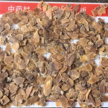红参片头尾片红参个子片吉林长白山红参