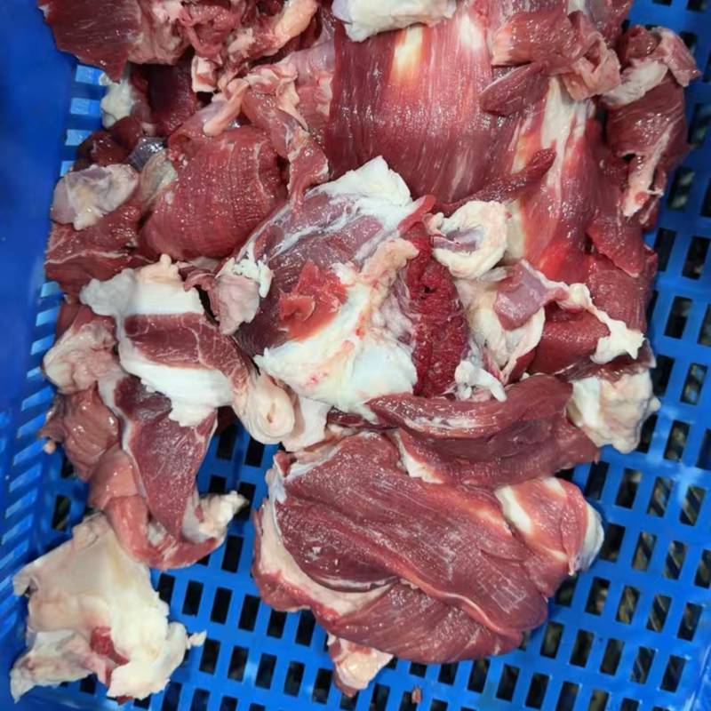 牛肉筋