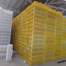 塑料筐，山药筐，蛇豆角筐，尺寸101*36*26