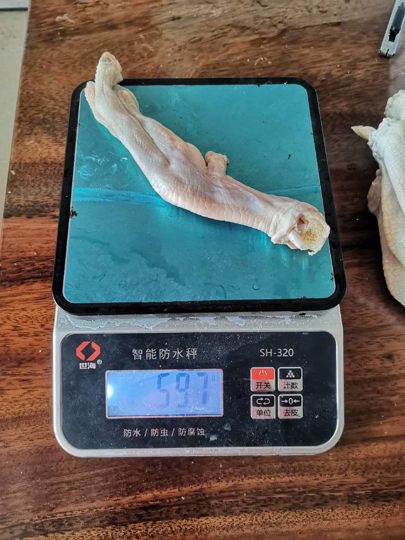 7-8个鸭掌