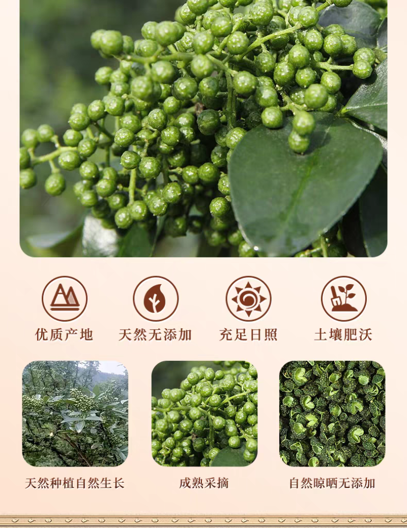 包邮）青麻椒特麻500g藤椒重庆四川散装汉源麻椒绿麻干