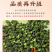 包邮）青麻椒特麻500g藤椒重庆四川散装汉源麻椒绿麻干