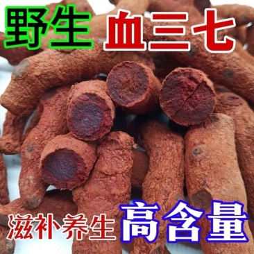血三七正宗野生冷背中药材大全批发零售货真价实
