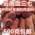 血三七正宗野生冷背中药材大全批发零售货真价实