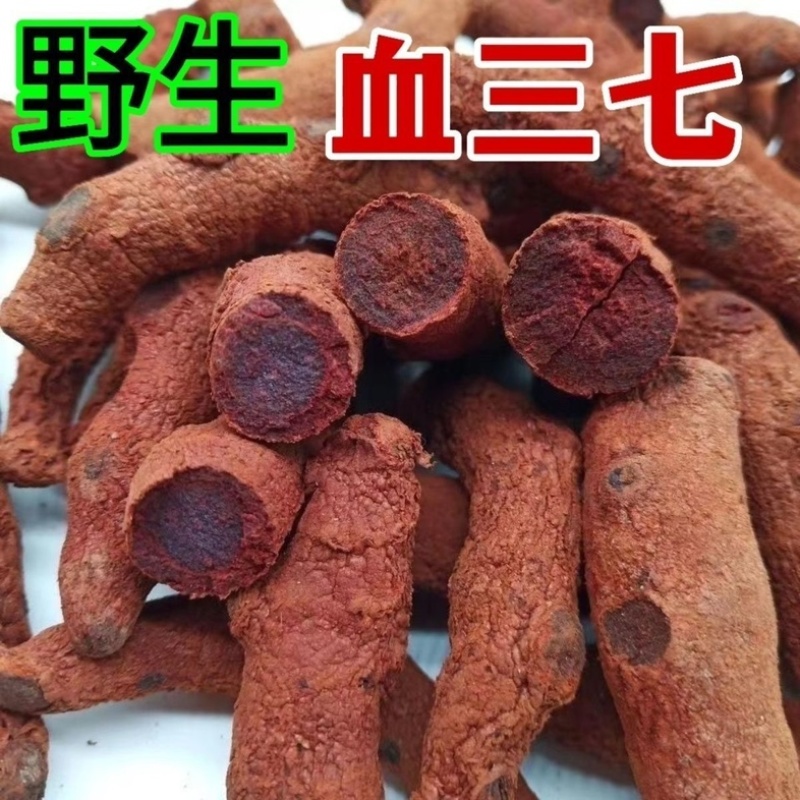 血三七正宗野生冷背中药材大全批发零售货真价实