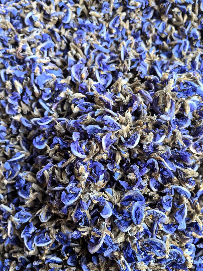 精品野生大葛花