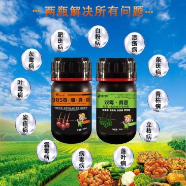 双管齐下~真菌细菌病毒