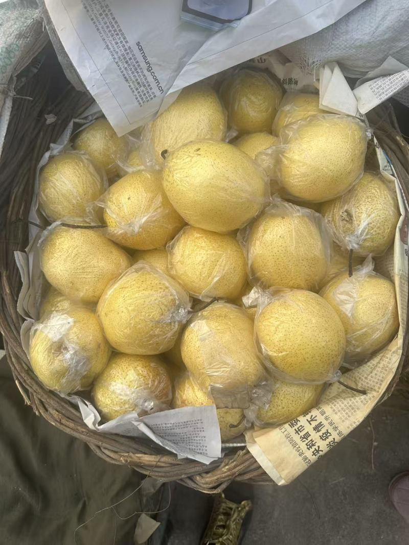 雪花梨