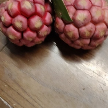 南武夷老虎果又叫布福娜水果