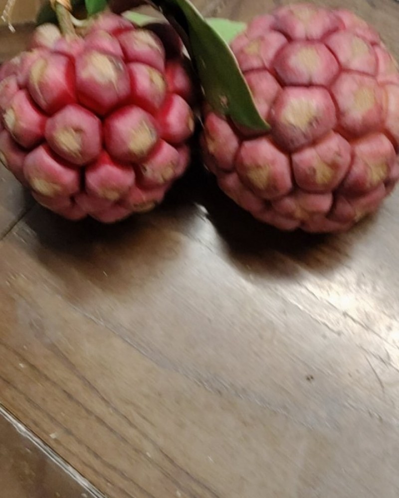 南武夷老虎果又叫布福娜水果