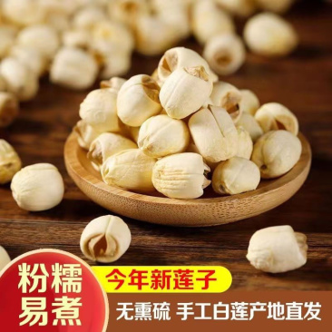 白莲子通芯去芯广昌莲子米