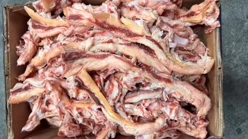 带肉霸王鞭厂家直销品质保证大量现货批发零售欢迎来电