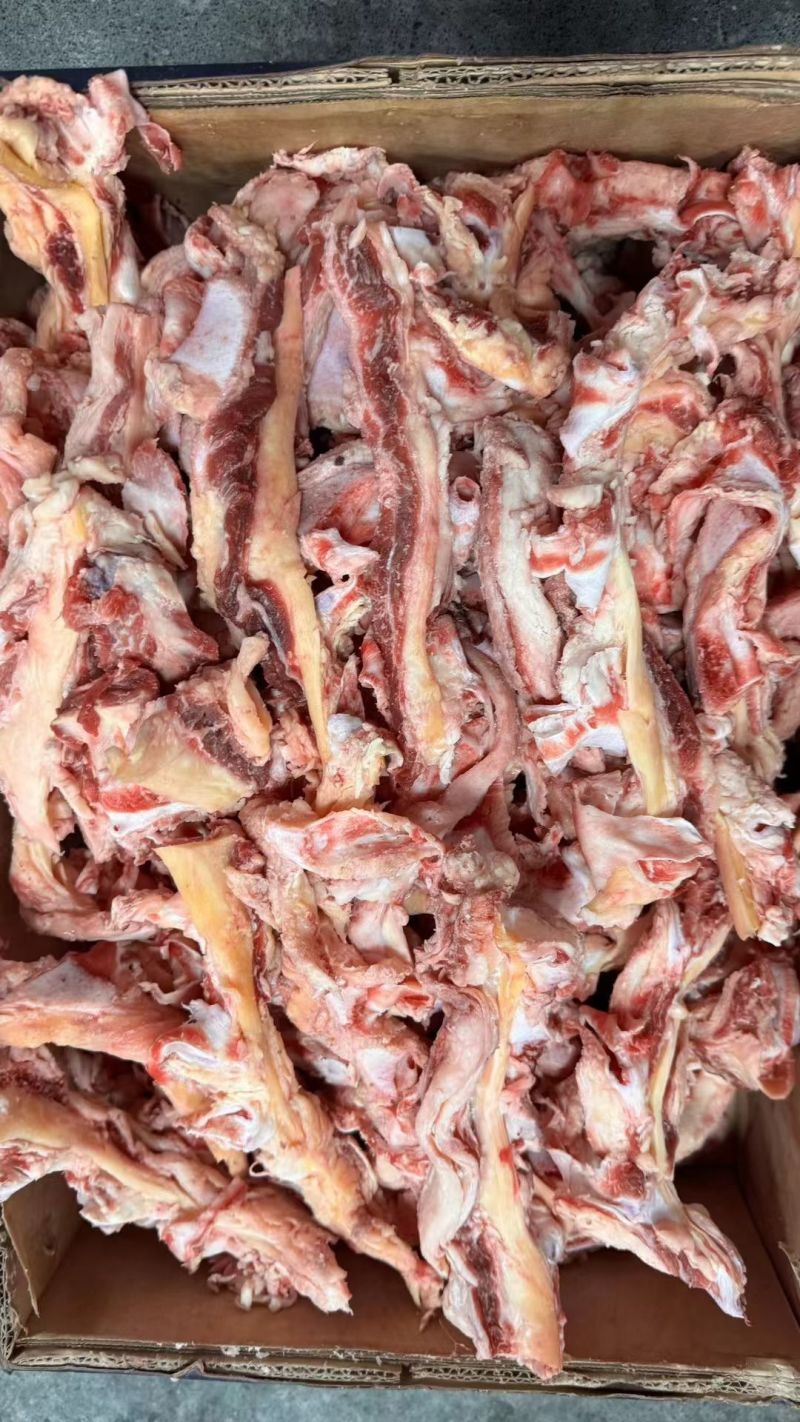 带肉霸王鞭厂家直销品质保证大量现货批发零售欢迎来电