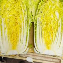精品玲珑黄白菜一手货源产地直发欢迎采购商前来采购