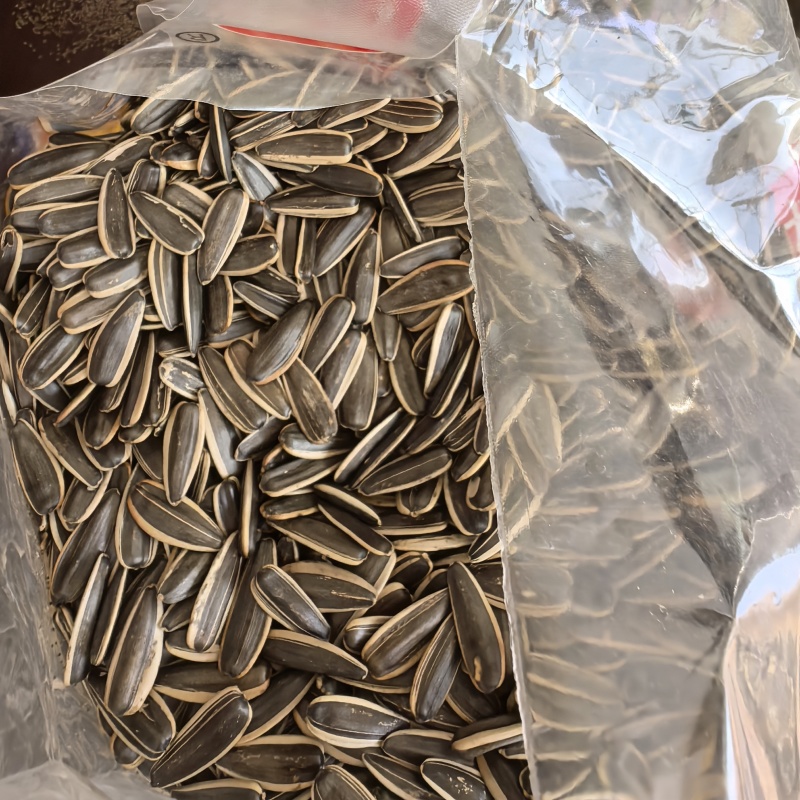 电商瓜子，可定制