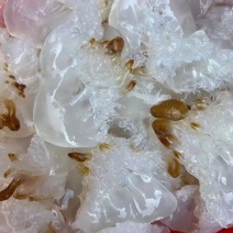海蜇头