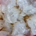 海蜇头