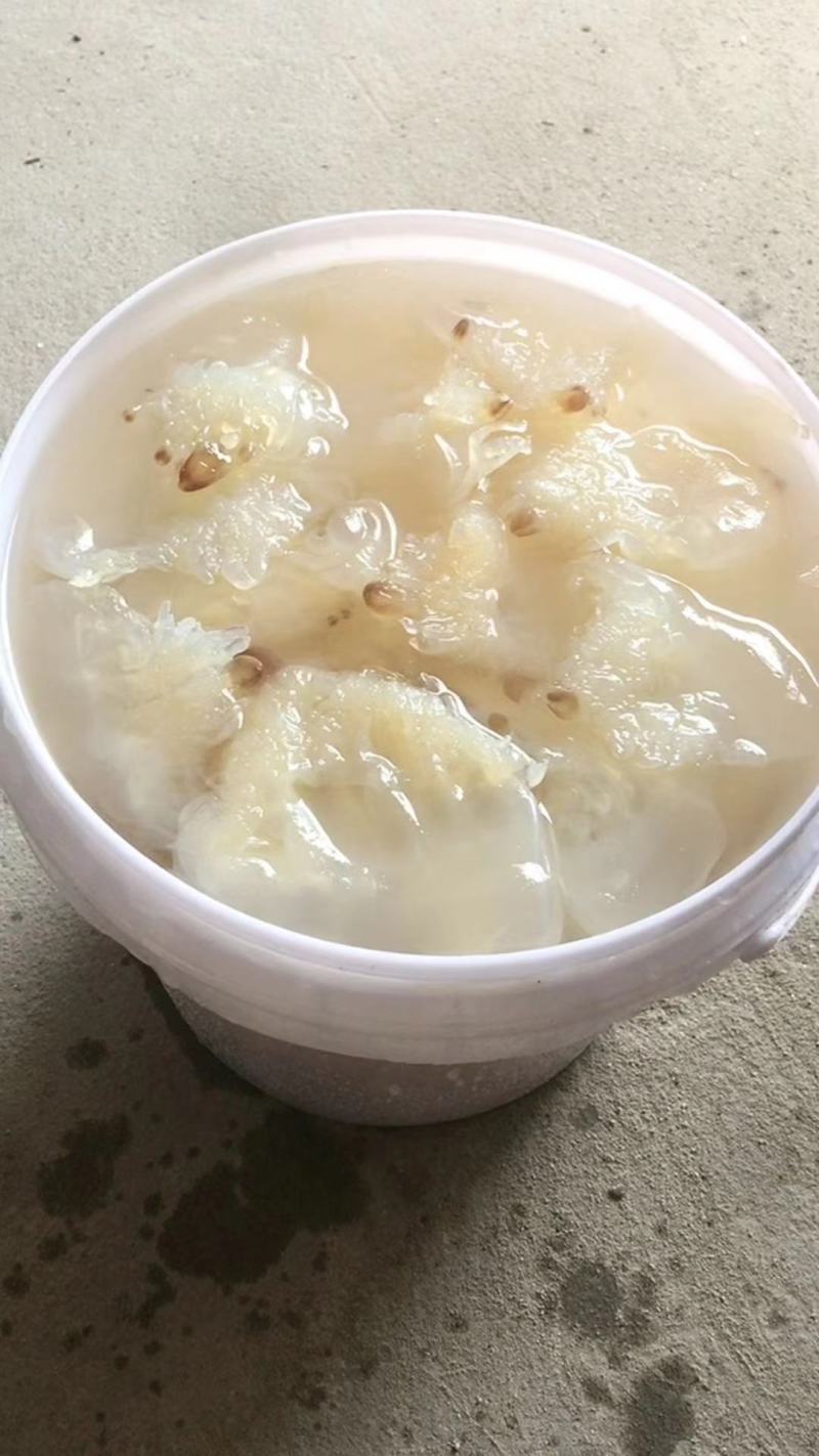 海蜇头