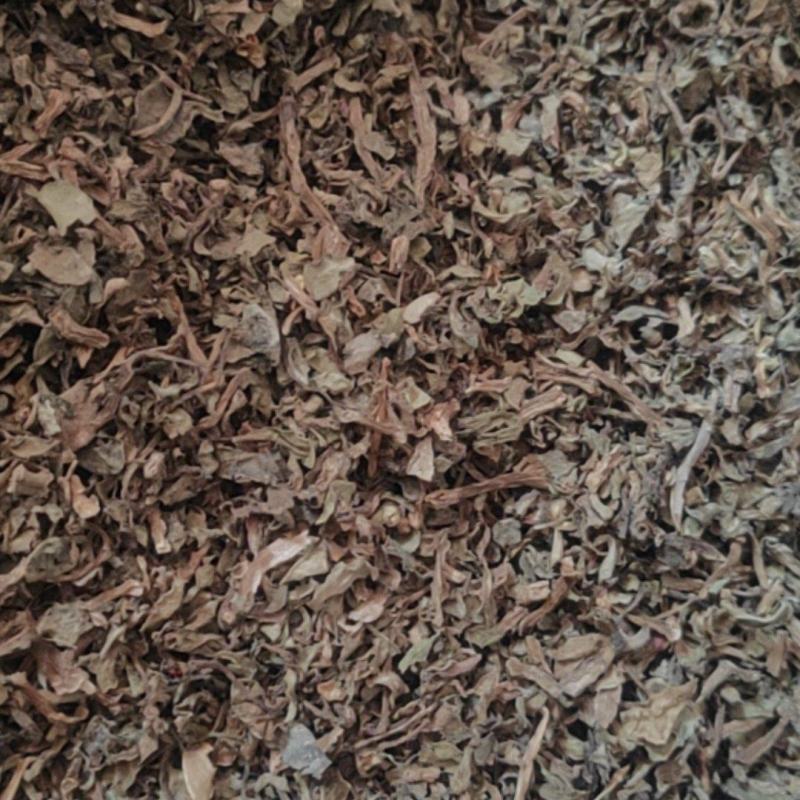 马齿苋干货中草药常年经营各种中药材