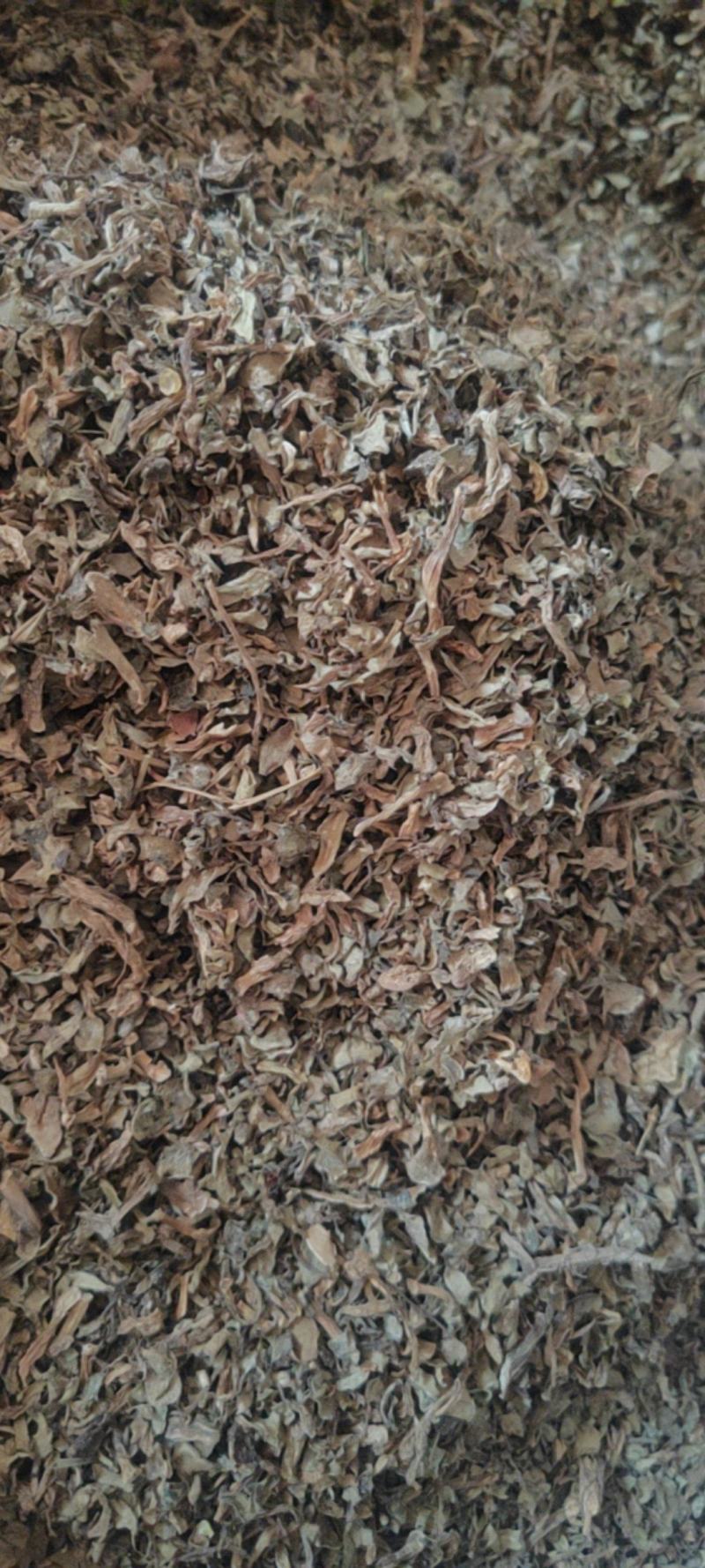 马齿苋干货中草药常年经营各种中药材