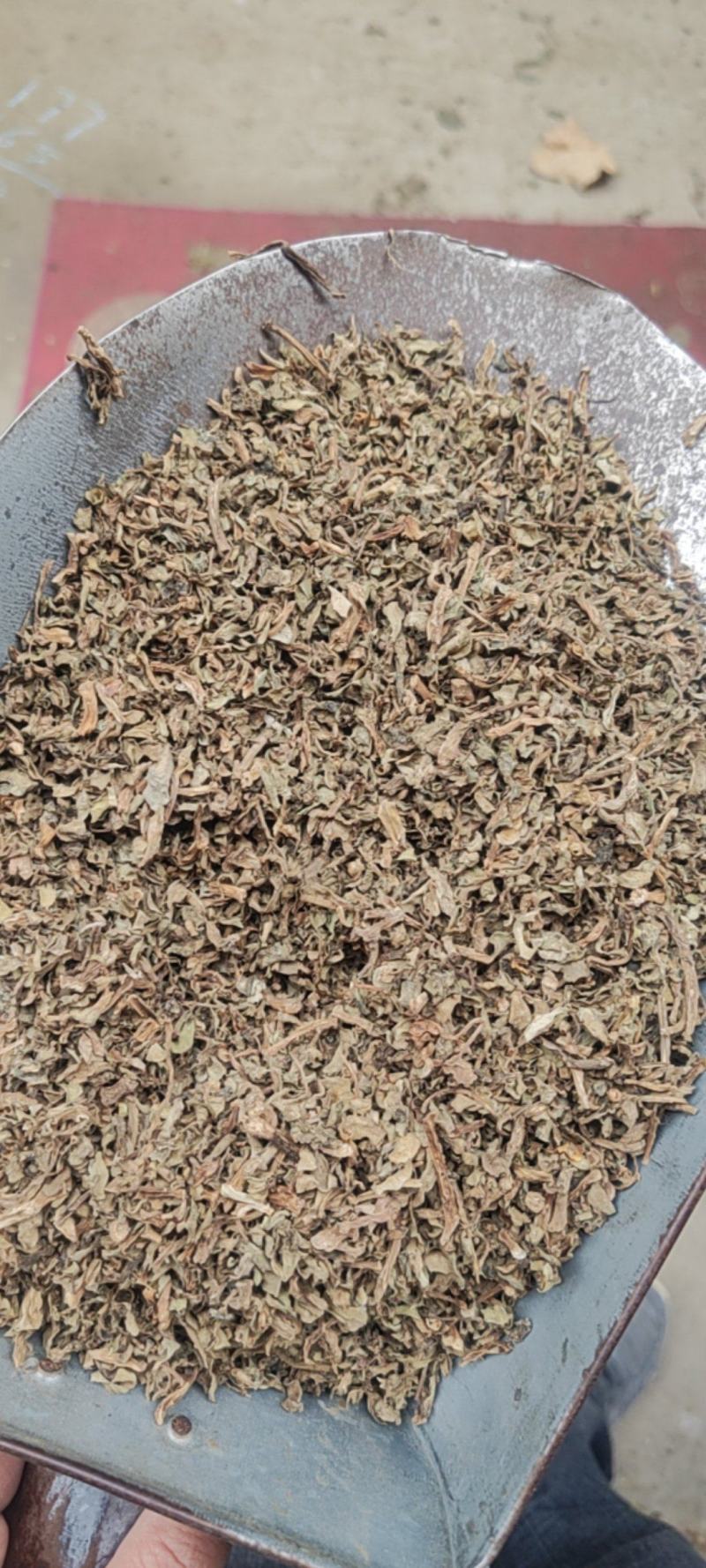 马齿苋干货中草药常年经营各种中药材