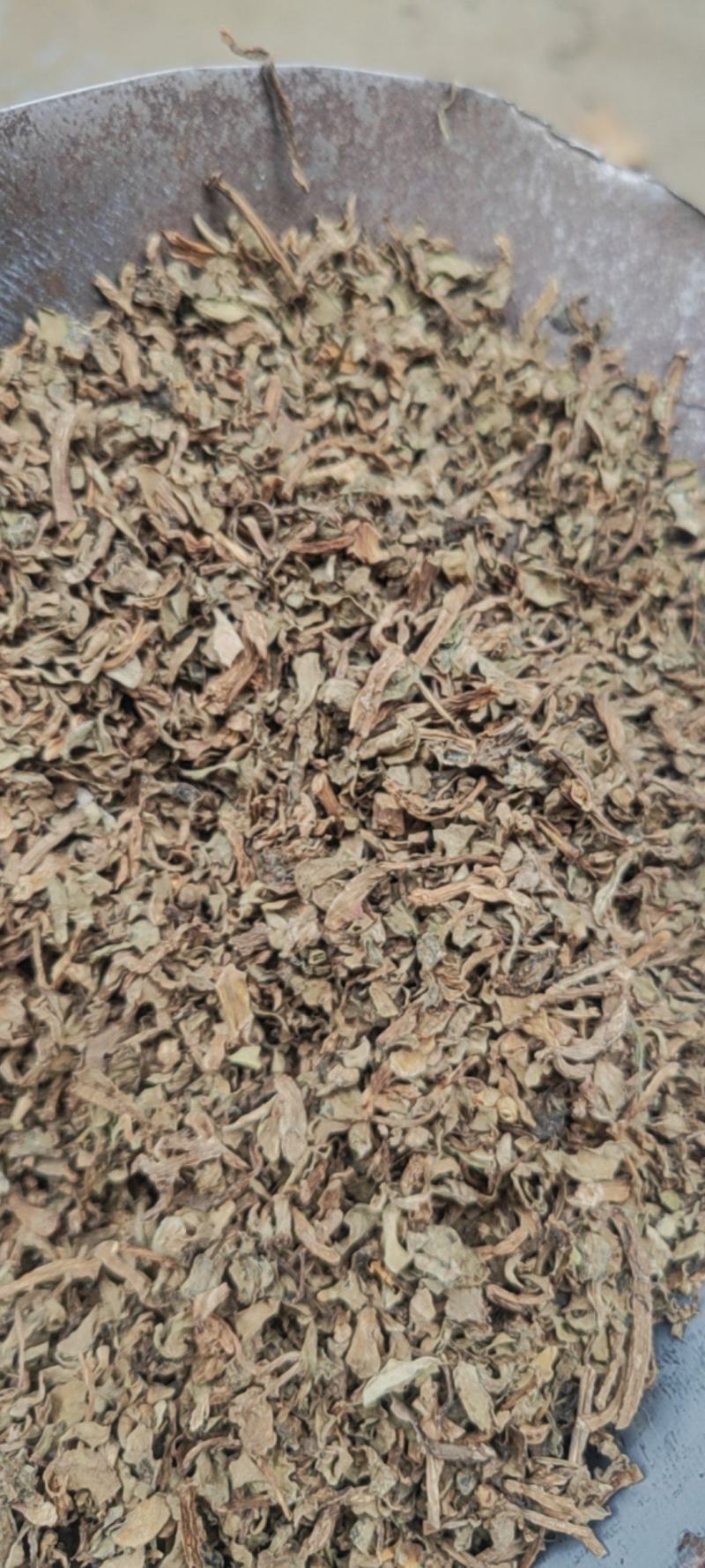 马齿苋干货中草药常年经营各种中药材