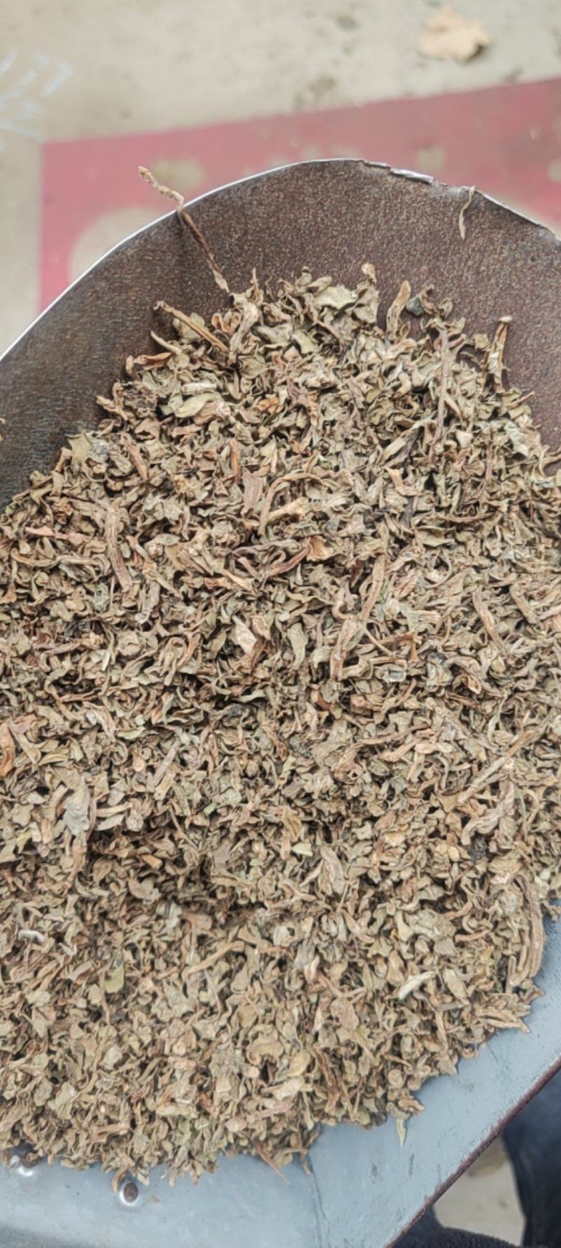 马齿苋干货中草药常年经营各种中药材