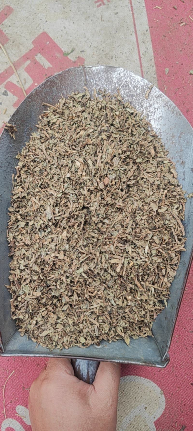 马齿苋干货中草药常年经营各种中药材