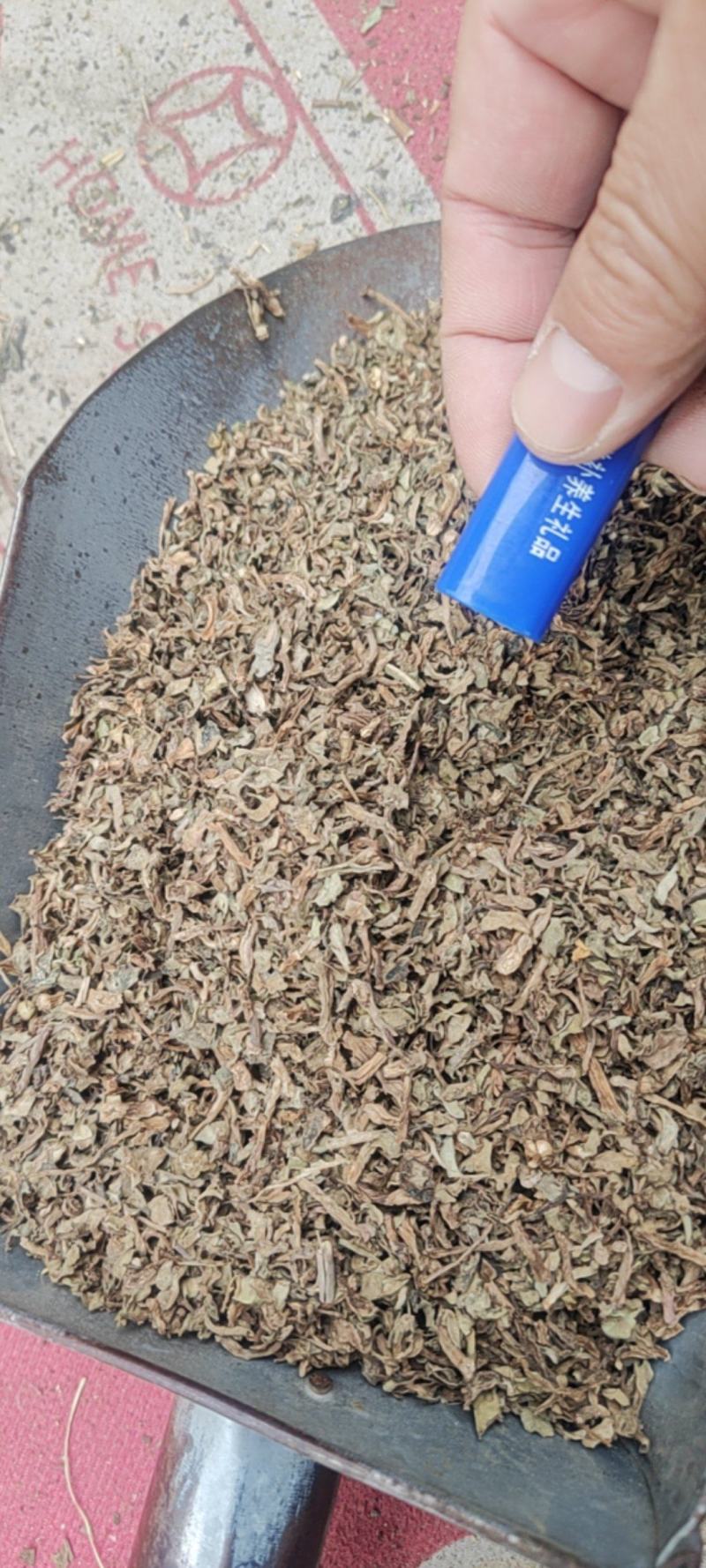 马齿苋干货中草药常年经营各种中药材