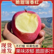 瑞香红苹果\河北邯郸产地直发\大量有货\对接全国采购商
