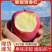 瑞香红苹果\河北邯郸产地直发\大量有货\对接全国采购商