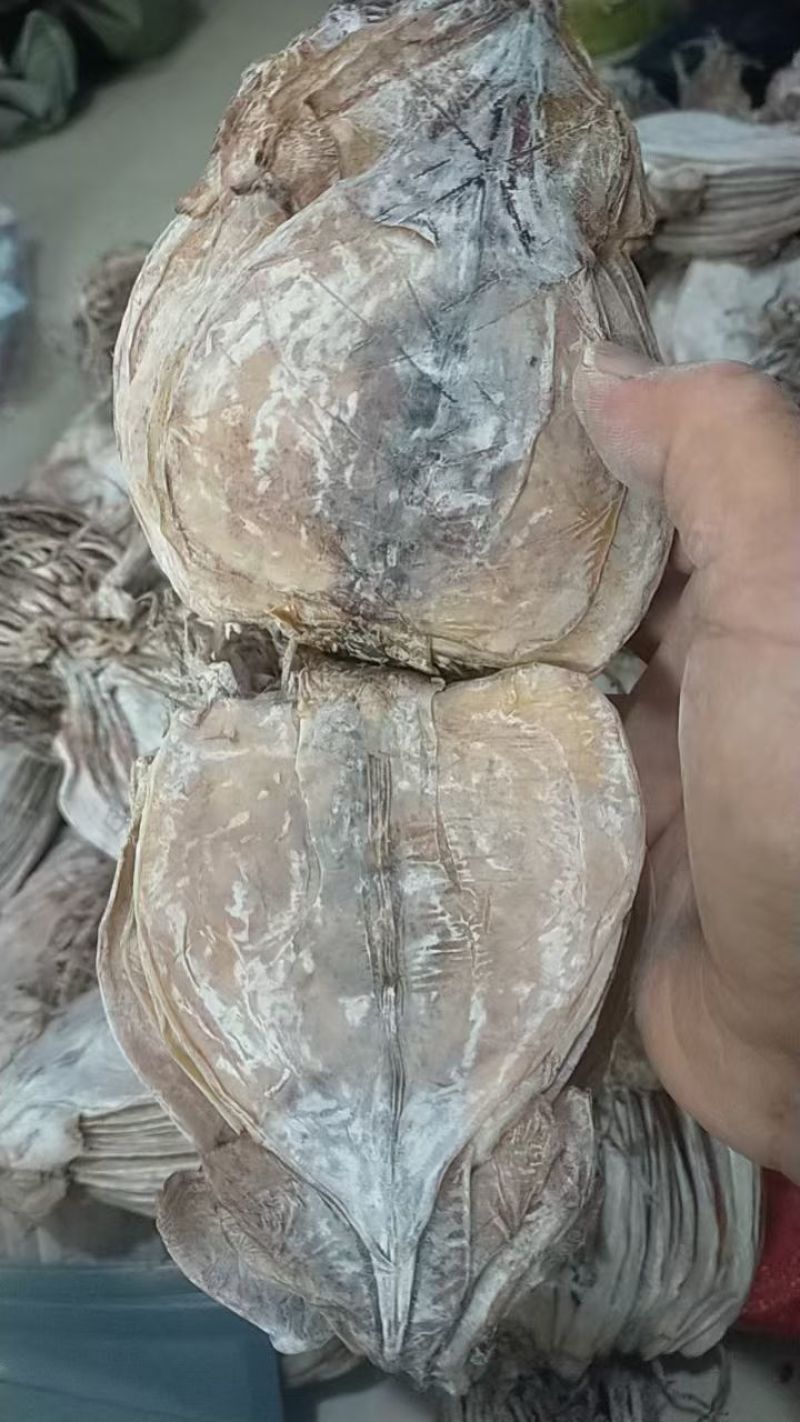 鱿鱼干水发鱿鱼干