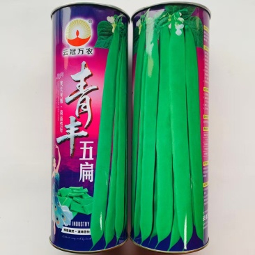 云冠青丰五扁绿扁条早熟架豆种子宽扁嫩荚肉厚鲜嫩无筋糯爽春