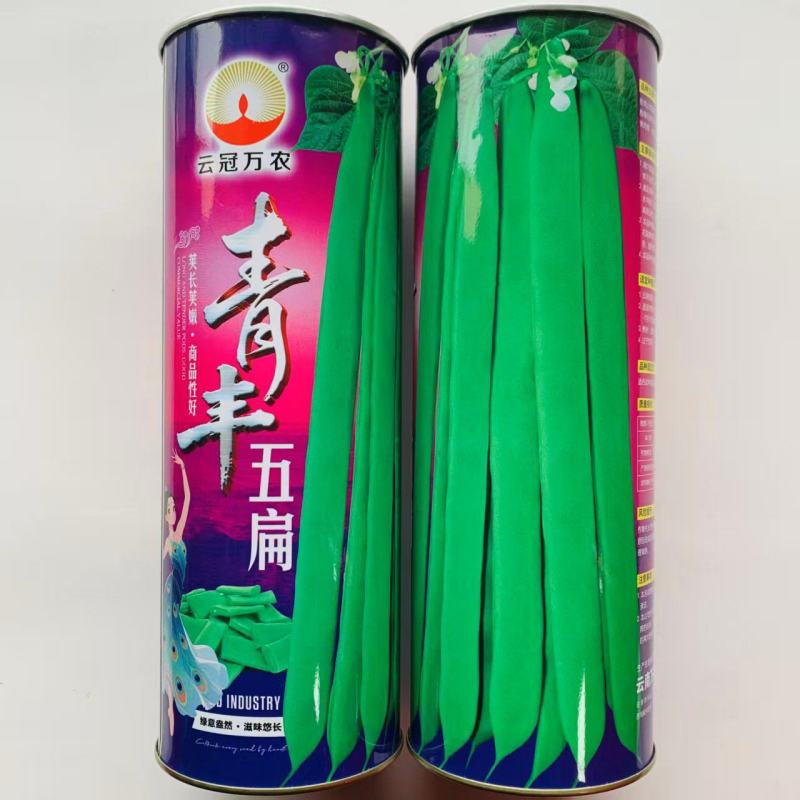 云冠青丰五扁绿扁条早熟架豆种子宽扁嫩荚肉厚鲜嫩无筋糯爽春