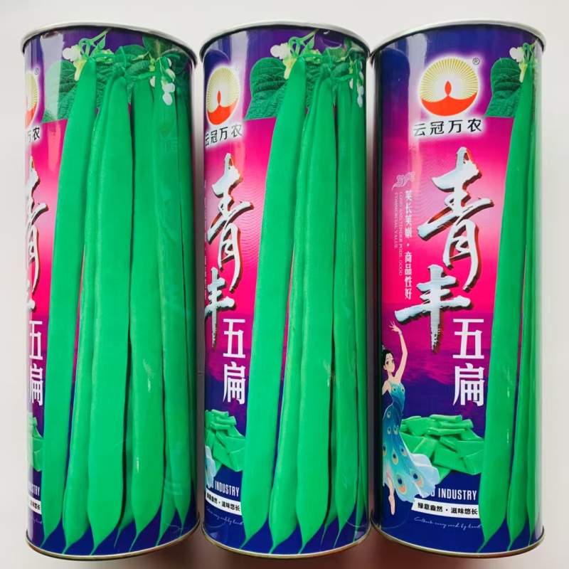 云冠青丰五扁绿扁条早熟架豆种子宽扁嫩荚肉厚鲜嫩无筋糯爽春