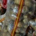 沃土土豆基地直发品质保证规格齐全量大从优