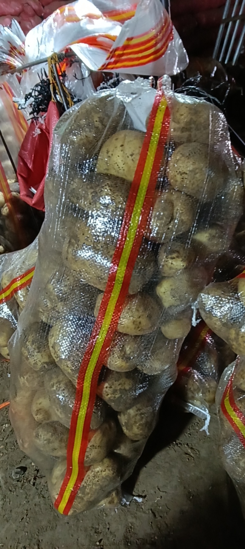 沃土土豆基地直发品质保证规格齐全量大从优
