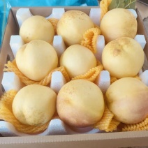油桃黄油桃丹东黄油桃开园直采货源充足批发老板可联