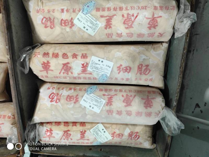 东乌旗羊肥肠