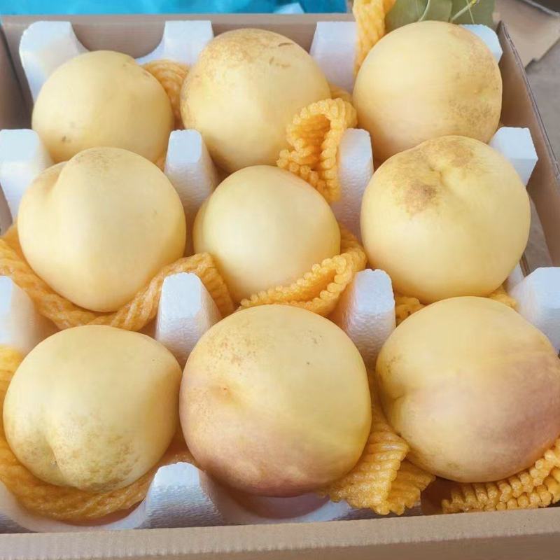 黄油桃自家种植优质黄油桃，口感好，甜度好，一件代发全国