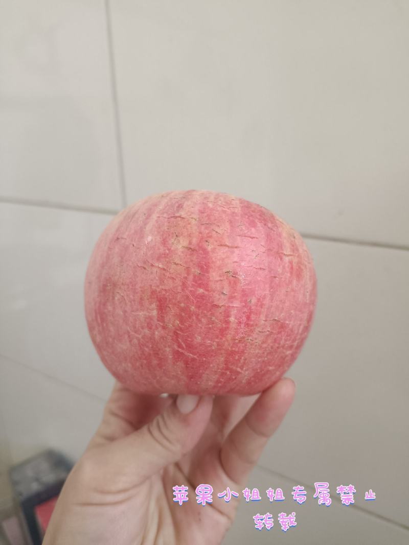 万荣冰糖心红富士，纸加膜袋，口感脆甜多汁，欢迎选购，