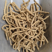 远志新货抽芯远志筒规格齐全批发零售