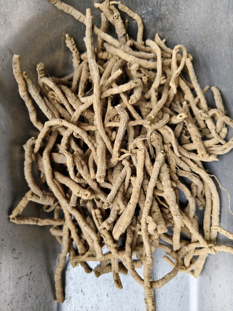 远志新货抽芯远志筒规格齐全批发零售